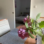 Duje & Roko * Šibenik