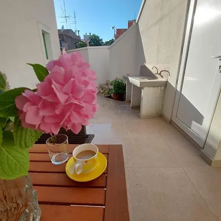 Duje & Roko Šibenik