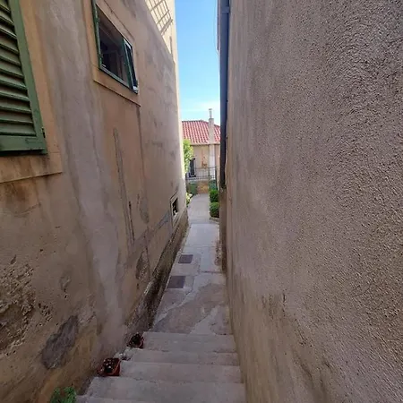 Duje & Roko שיבניק