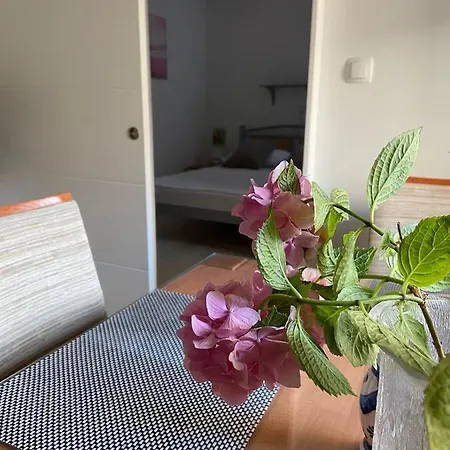 Duje & Roko * Šibenik