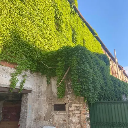 Duje & Roko Apartamento *