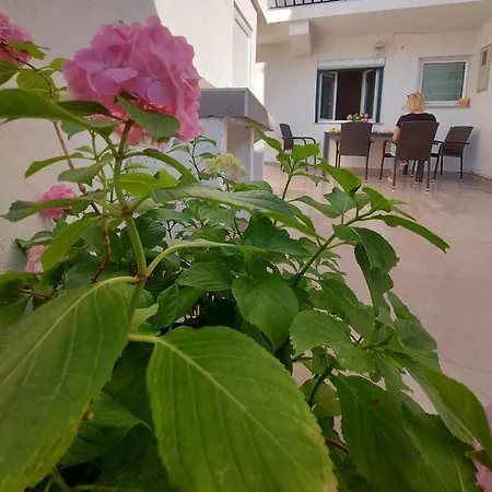 Apartamento Duje & Roko *