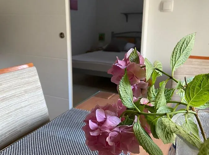 Duje & Roko * Sibenik