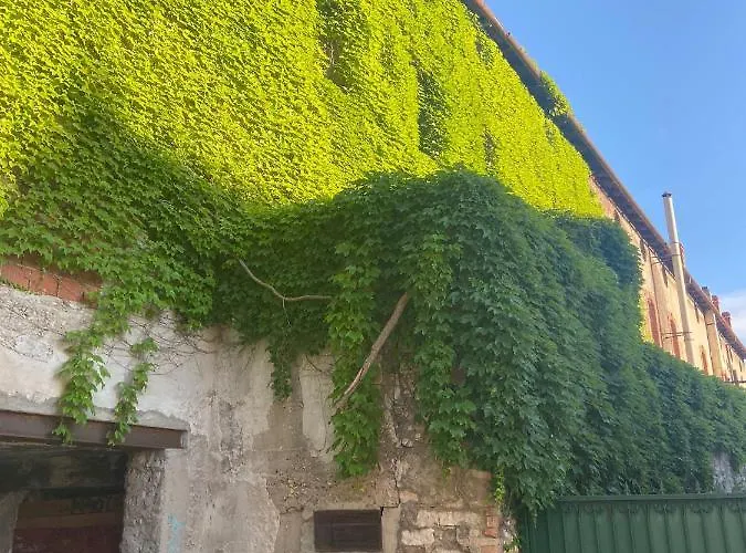 Duje & Roko Apartment *