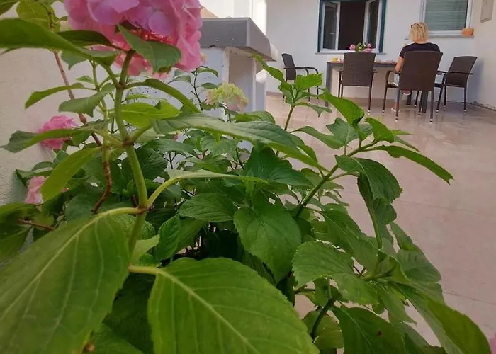 Apartman Duje & Roko *