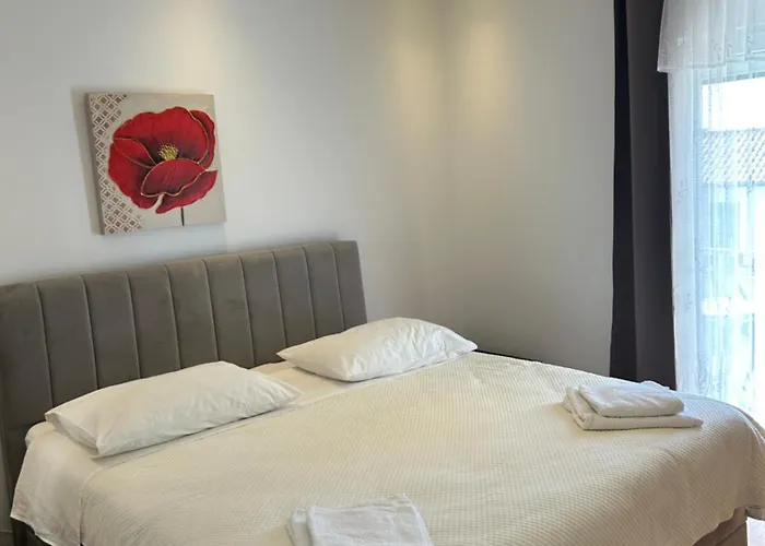 Duje & Roko Šibenik